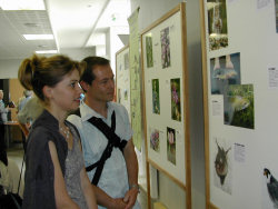 Photo Gérard Gay : la gagnante du concours photos découvrant l'exposition