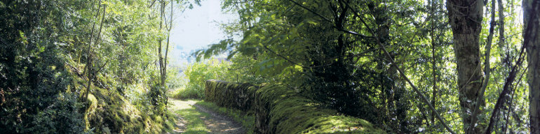 Orgelet, les alentours du château